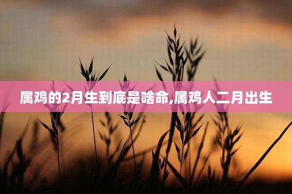 属鸡的2月生到底是啥命,属鸡人二月出生