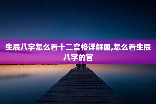 生辰八字怎么看十二宫格详解图,怎么看生辰八字的宫