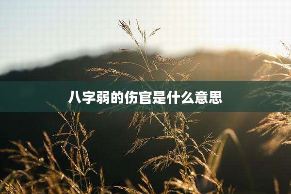 八字弱的伤官是什么意思