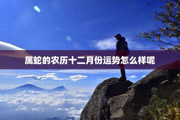 属蛇的农历十二月份运势怎么样呢