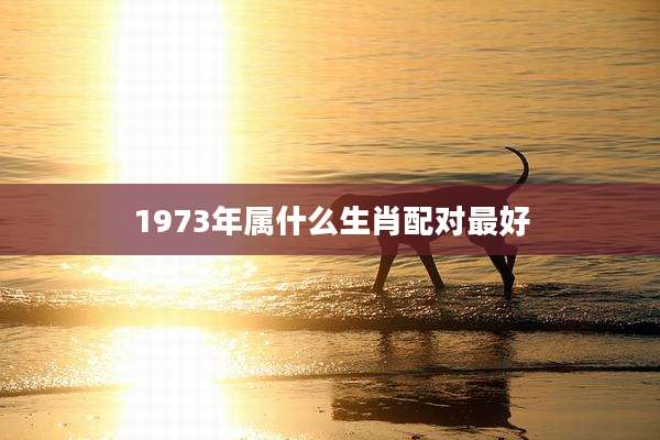 1973年属什么生肖配对最好