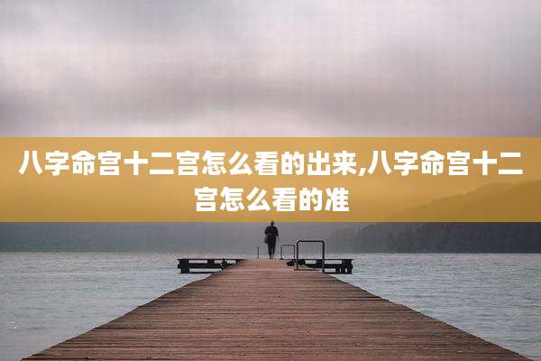 八字命宫十二宫怎么看的出来,八字命宫十二宫怎么看的准
