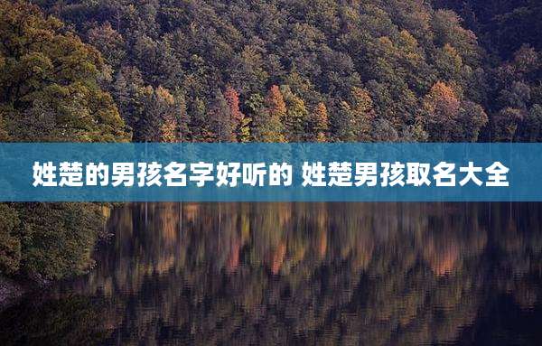 姓楚的男孩名字好听的 姓楚男孩取名大全