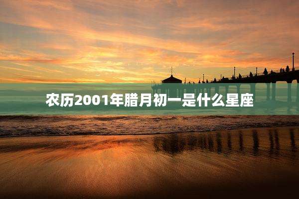 农历2001年腊月初一是什么星座