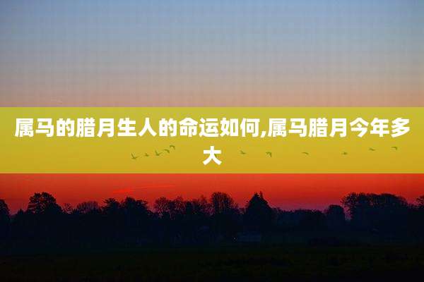 属马的腊月生人的命运如何,属马腊月今年多大