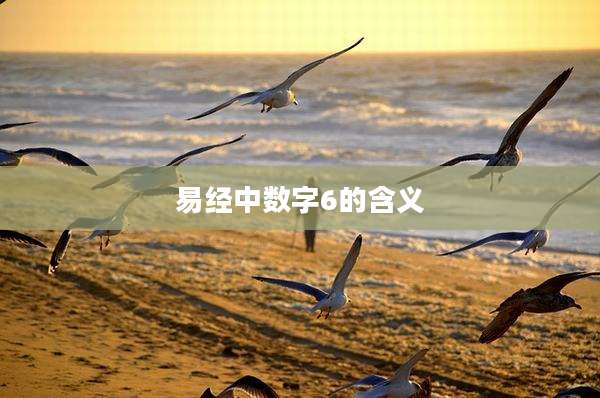 易经中数字6的含义