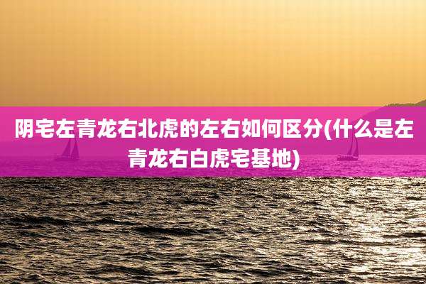 阴宅左青龙右北虎的左右如何区分(什么是左青龙右白虎宅基地)