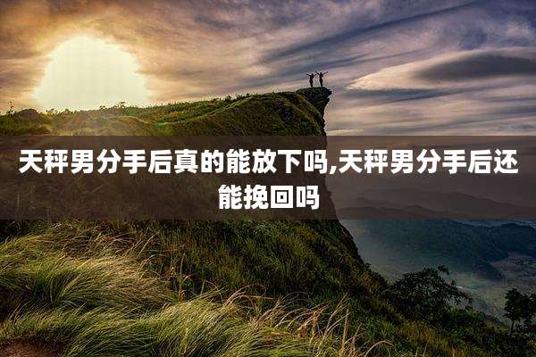 天秤男分手后真的能放下吗,天秤男分手后还能挽回吗