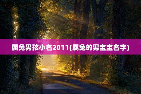 属兔男孩小名2011(属兔的男宝宝名字)