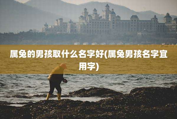 属兔的男孩取什么名字好(属兔男孩名字宜用字)