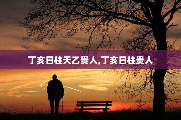 丁亥日柱天乙贵人,丁亥日柱贵人