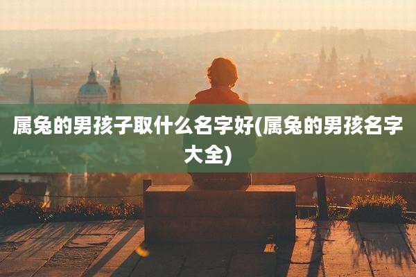 属兔的男孩子取什么名字好(属兔的男孩名字大全)