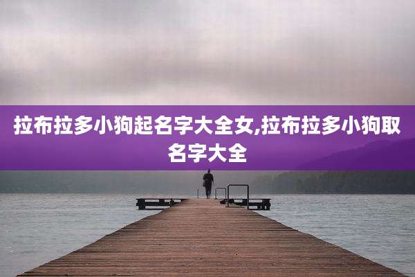 拉布拉多小狗起名字大全女,拉布拉多小狗取名字大全