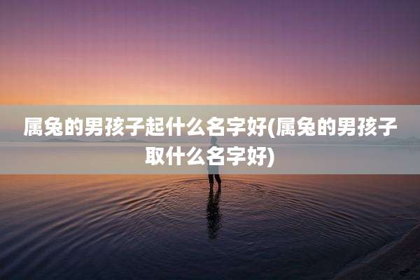 属兔的男孩子起什么名字好(属兔的男孩子取什么名字好)