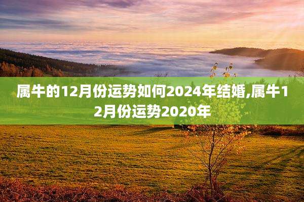 属牛的12月份运势如何2024年结婚,属牛12月份运势2020年