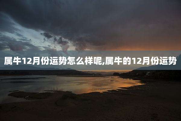 属牛12月份运势怎么样呢,属牛的12月份运势