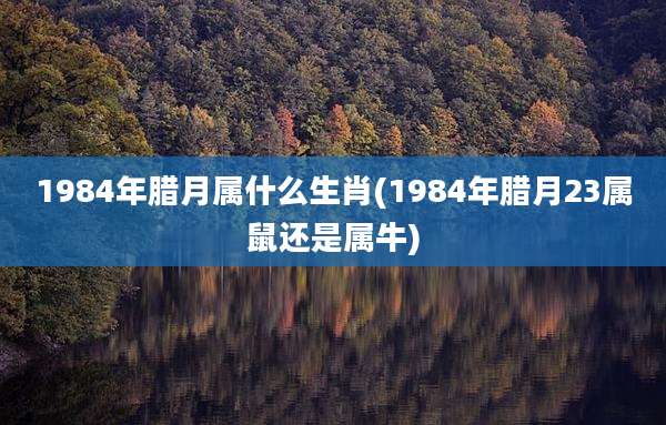 1984年腊月属什么生肖(1984年腊月23属鼠还是属牛)