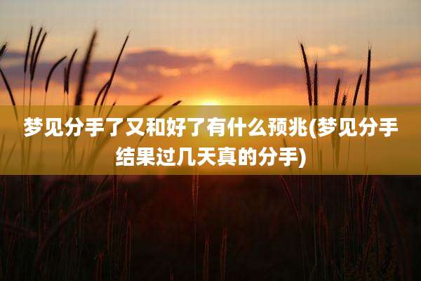 梦见分手了又和好了有什么预兆(梦见分手结果过几天真的分手)