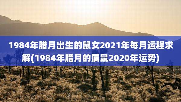 1984年腊月出生的鼠女2021年每月运程求解(1984年腊月的属鼠2020年运势)