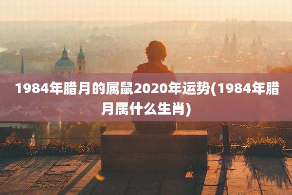 1984年腊月的属鼠2020年运势(1984年腊月属什么生肖)