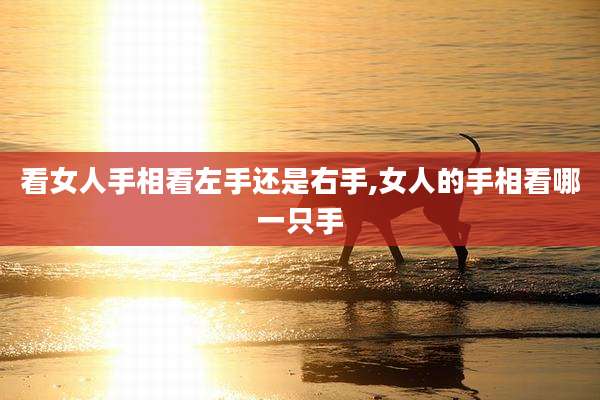 看女人手相看左手还是右手,女人的手相看哪一只手