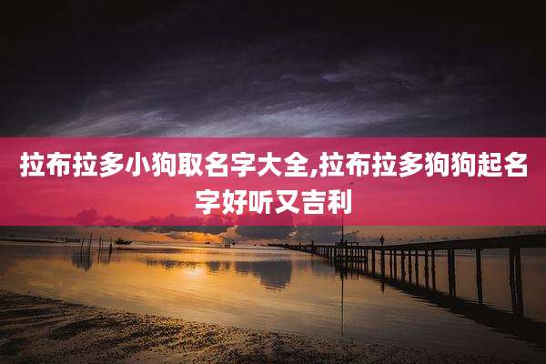 拉布拉多小狗取名字大全,拉布拉多狗狗起名字好听又吉利