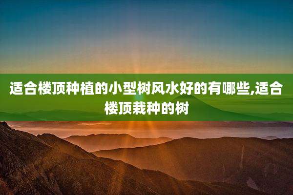 适合楼顶种植的小型树风水好的有哪些,适合楼顶栽种的树