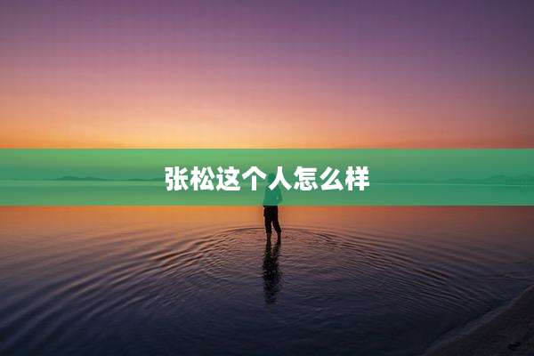 张松这个人怎么样