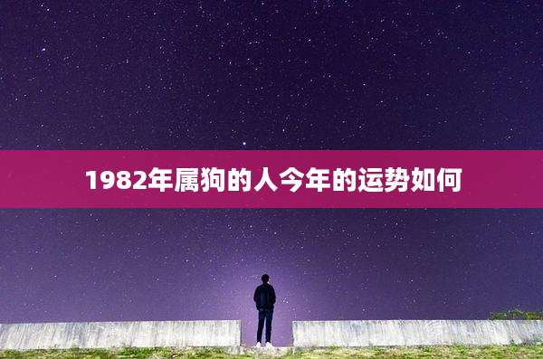 1982年属狗的人今年的运势如何