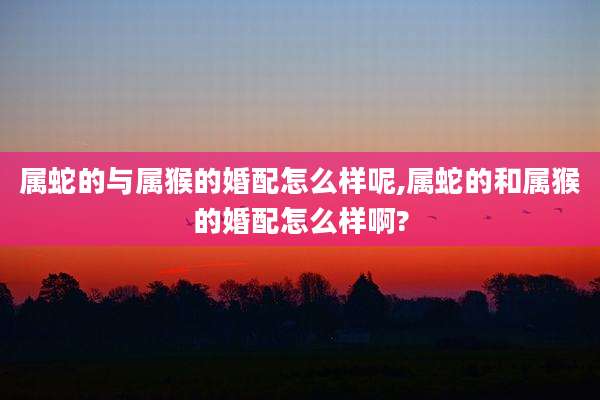 属蛇的与属猴的婚配怎么样呢,属蛇的和属猴的婚配怎么样啊?
