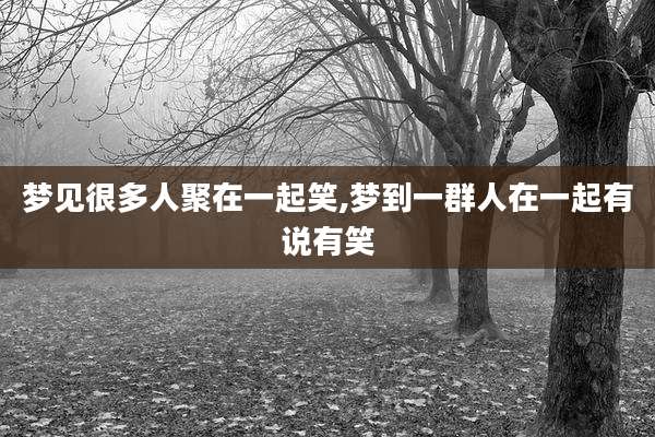 梦见很多人聚在一起笑,梦到一群人在一起有说有笑