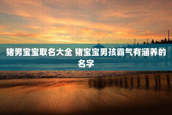 猪男宝宝取名大全 猪宝宝男孩霸气有涵养的名字