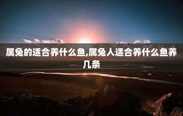 属兔的适合养什么鱼,属兔人适合养什么鱼养几条