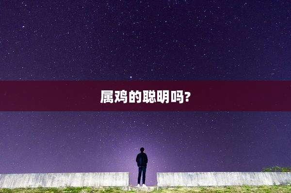 属鸡的聪明吗?