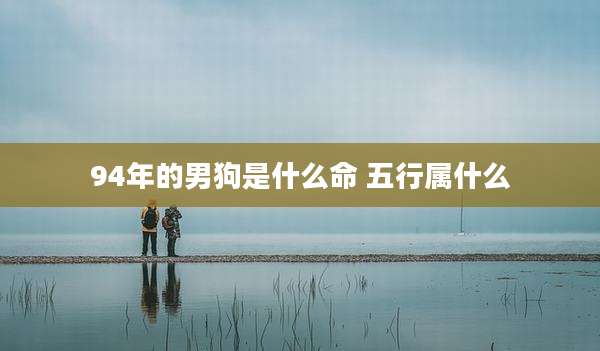 94年的男狗是什么命 五行属什么