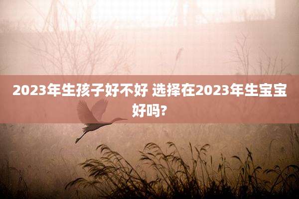 2023年生孩子好不好 选择在2023年生宝宝好吗?