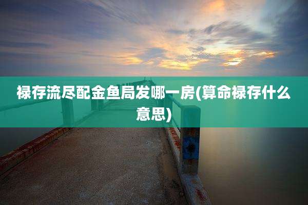 禄存流尽配金鱼局发哪一房(算命禄存什么意思)