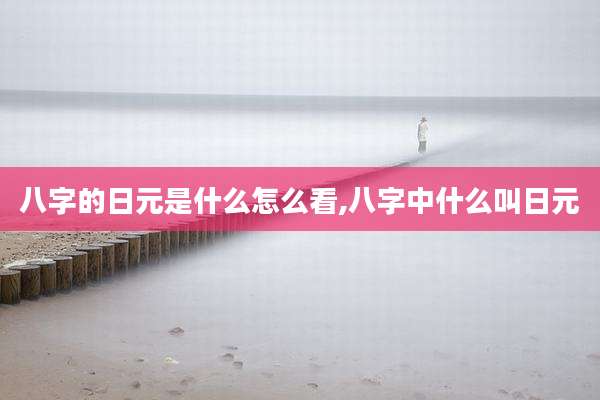 八字的日元是什么怎么看,八字中什么叫日元