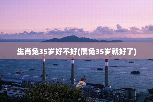生肖兔35岁好不好(属兔35岁就好了)