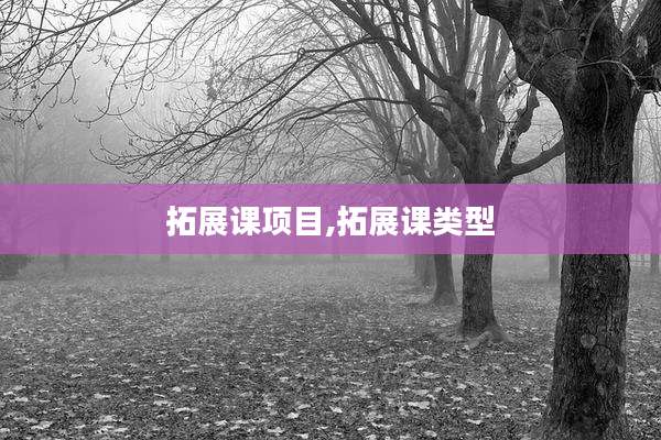 拓展课项目,拓展课类型