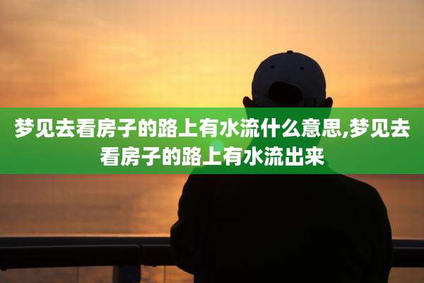 梦见去看房子的路上有水流什么意思,梦见去看房子的路上有水流出来