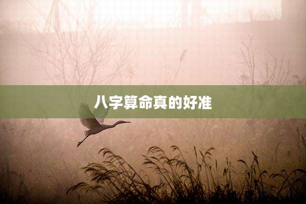 八字算命真的好准