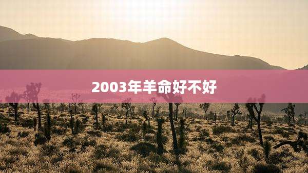 2003年羊命好不好