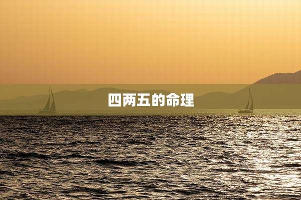 四两五的命理