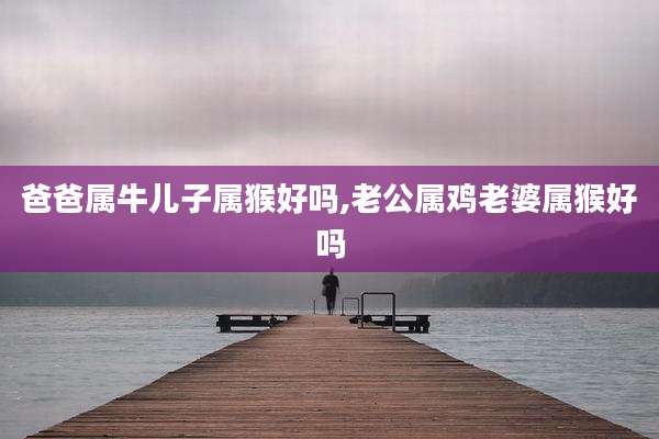 爸爸属牛儿子属猴好吗,老公属鸡老婆属猴好吗