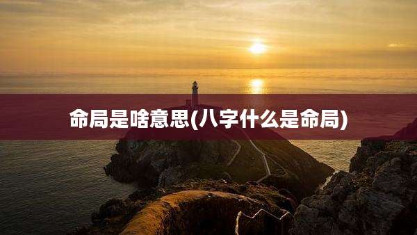 命局是啥意思(八字什么是命局)