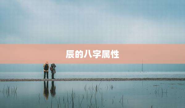 辰的八字属性