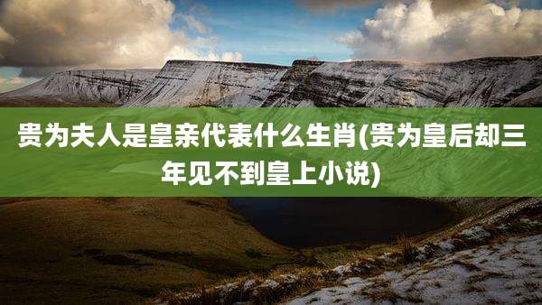 贵为夫人是皇亲代表什么生肖(贵为皇后却三年见不到皇上小说)