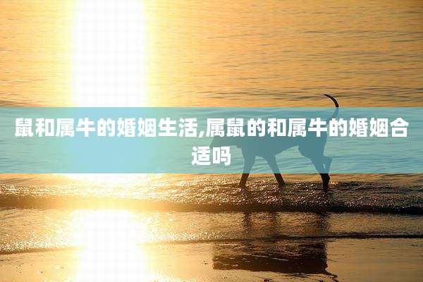 鼠和属牛的婚姻生活,属鼠的和属牛的婚姻合适吗