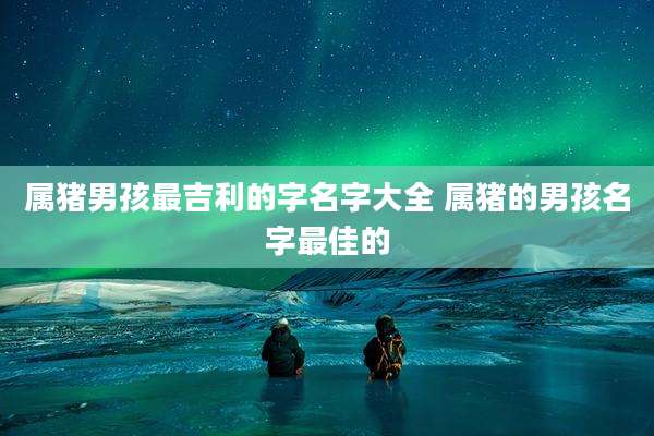 属猪男孩最吉利的字名字大全 属猪的男孩名字最佳的